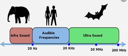 A diagram illustrating three sound frequency ranges: Infrasound (below 20 Hz), Audible Frequencies (20 Hz to 20 KHz, represented by human figures), and Ultrasound (above 20 KHz, depicted with a bat). An elephant symbolizes infrasound. A horizontal arrow marks frequency progression.